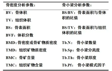 骨形态学参数分析