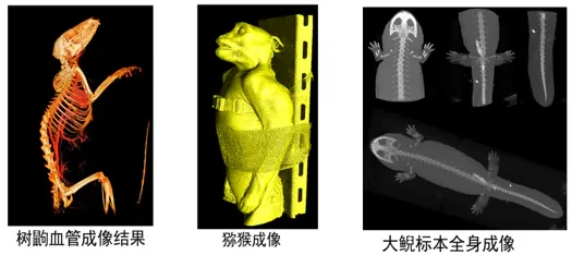 不同重建方法的图像对比