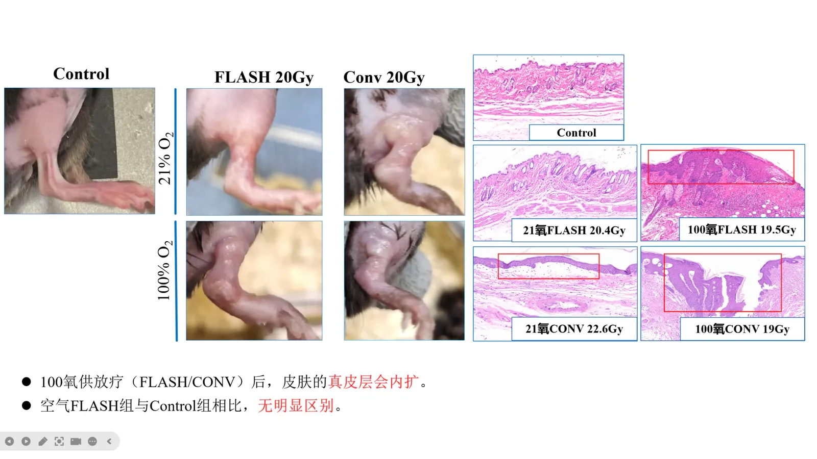 Flash放疗研究介绍第6页