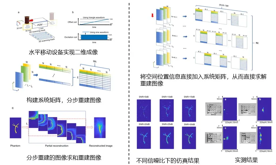 基于磁场自由线的MPI重建方法